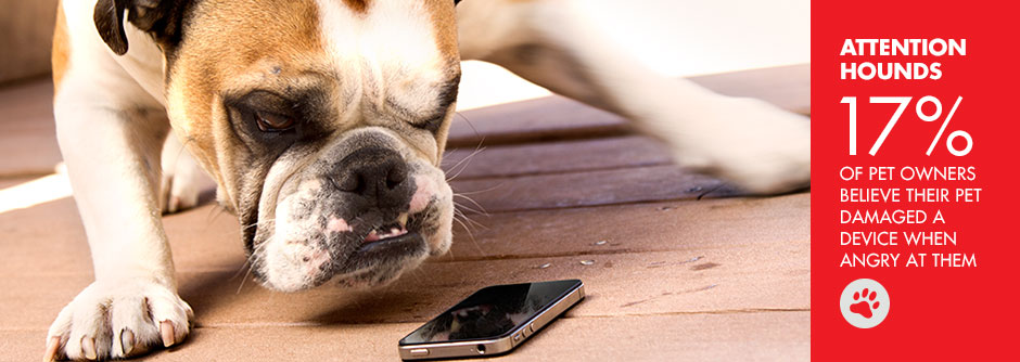 Press Releases - SquareTrade